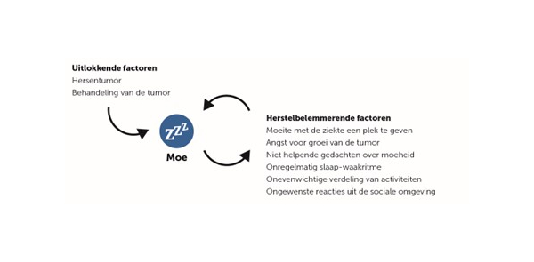 Grip op vermoeidheid