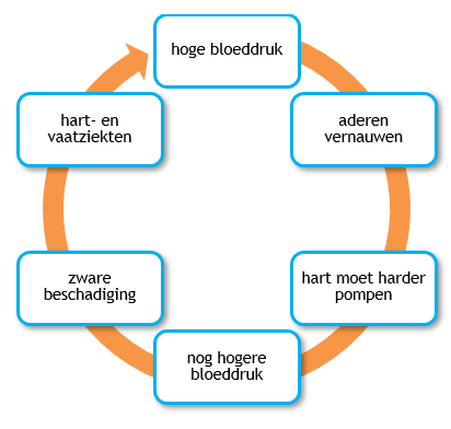 Afbeelding met tekst, schermopname, Lettertype, diagram
Automatisch gegenereerde beschrijving