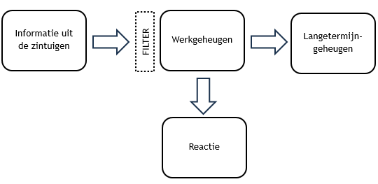 Afbeelding met tekst, schermopname, diagram, Lettertype
Automatisch gegenereerde beschrijving