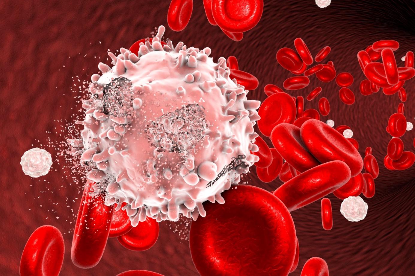 Homepage | Hematologie Maastricht