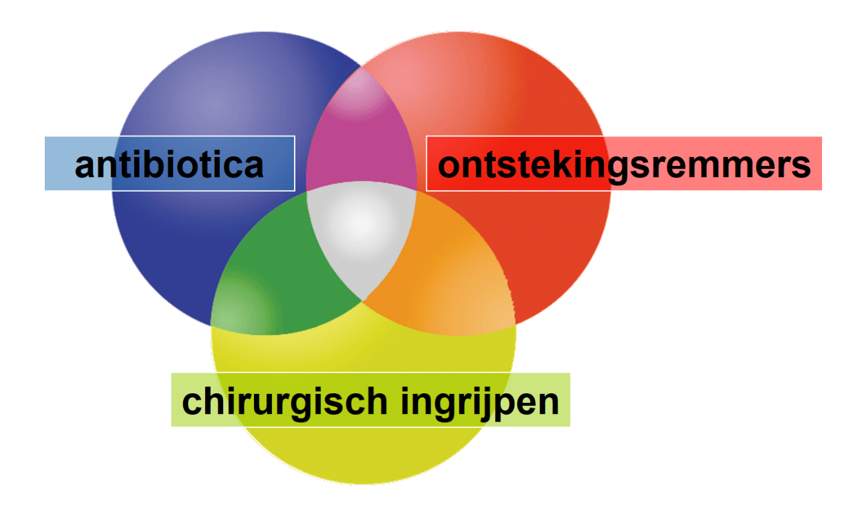 A diagram of different colors
Description automatically generated