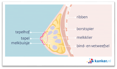 Afbeelding met tekst, schermopname, Lettertype
Automatisch gegenereerde beschrijving