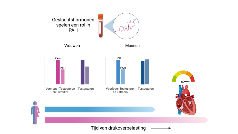 Jessie Wezenbeek, PHD student 2022