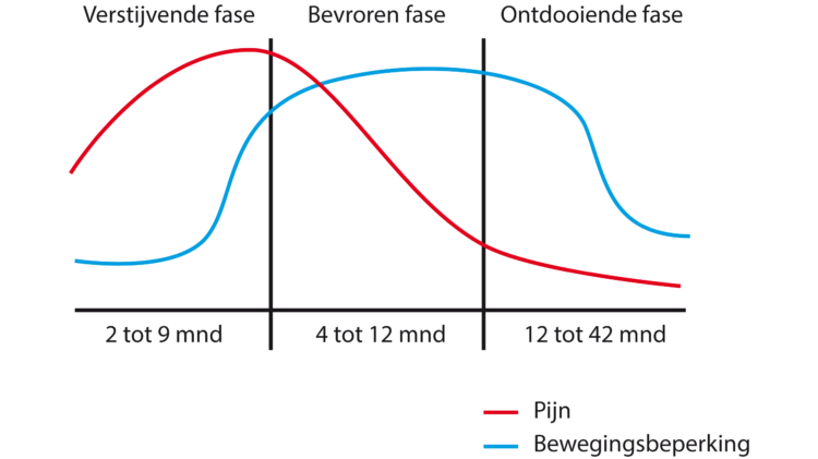 https://www.tergooi.nl/wp-content/uploads/2018/05/frozenshoulder-grafiek-e1595952502936.png